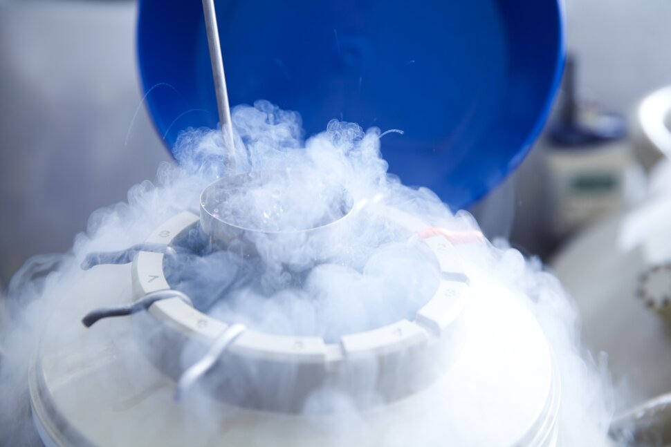 5 QUESTIONS TO INQUIRE BEFORE CHOOSING AN EGG FREEZING PROVIDER